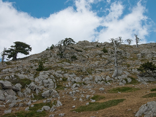 Parque Nacional del Pollino